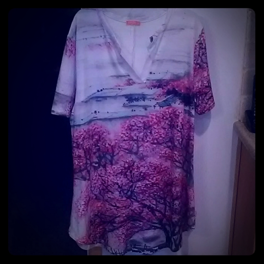 Women's v neck short sleeve tunic